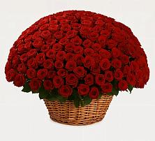 Премиум букет из: Розы #REPLACE_PRED# Большесидоровском